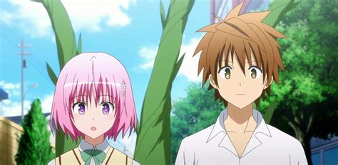 What is the chronological order of To Love Ru, To Love Ru